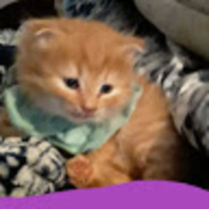 Meet your Posher, Stacy